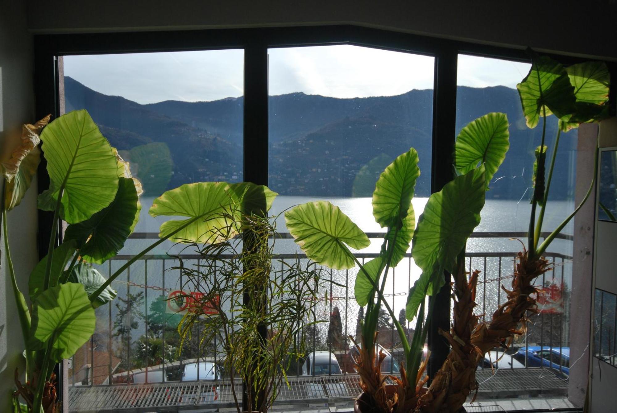 Apartament Andrea Olga House Laglio Zewnętrze zdjęcie